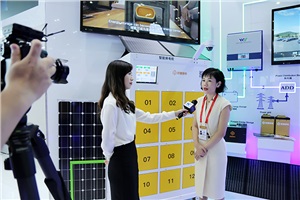 獲新華社重點關注，威勝電氣亮相中非經貿博覽會！